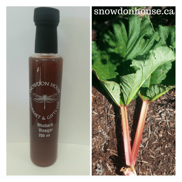 rhubarb vinegar