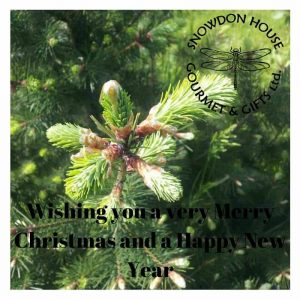 Wishing you a very Merry Christmas and a Happy New Year