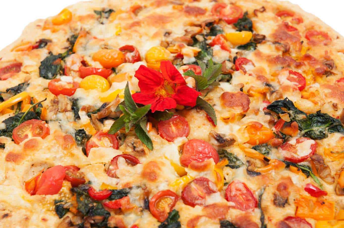 to Snowdon House's Online Shop! Snowdon House